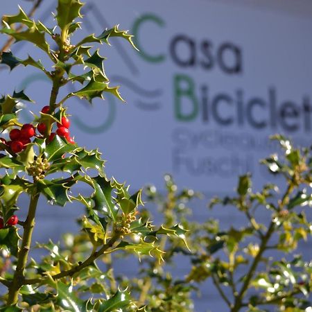Appartamento Casa Bicicletta Fuschl am See Esterno foto